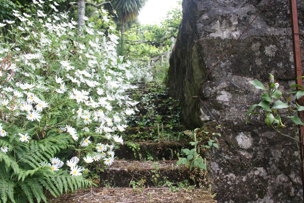 Quinta Das Leiras Santo Tirso Eksteriør bilde