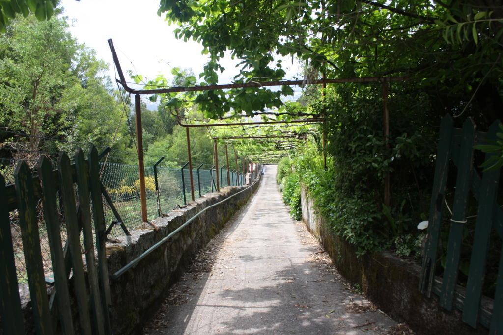 Quinta Das Leiras Santo Tirso Eksteriør bilde