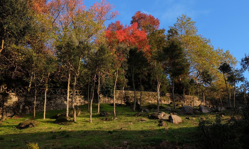 Quinta Das Leiras Santo Tirso Eksteriør bilde